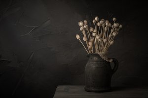 暗いケシの実の静物画 作： 