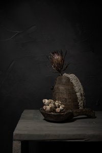 陰影のある素朴な植物 作： 