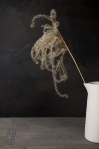 パンパスグラスのある白い水差し 作： 
