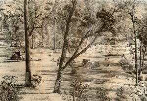無料のセレクターの小屋、オーストラリア、1879 作： McFarlane and Erskine