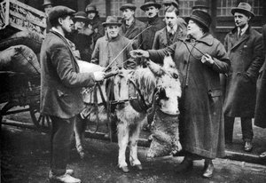 鞭の女、コベントガーデン、ロンドン、1926-1927。 作： McLeish