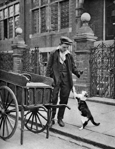 キャッツミートマン、ロンドン、1926-1927 作： McLeish