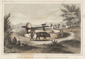 籾殻と粗挽き米のための中国の装置、1855 作： Meffert