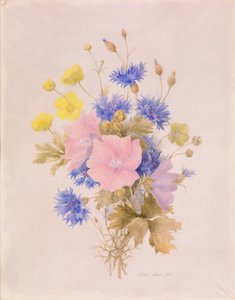 野の花 作： Melanie Marc