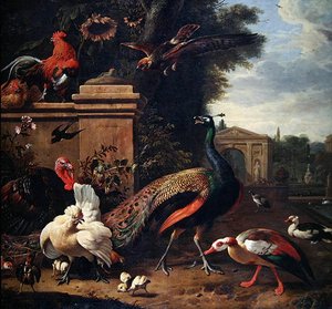 公園の孔雀と鷹と様々な鳥と鴨（油彩・キャンバス） 作： Melchior de Hondecoeter