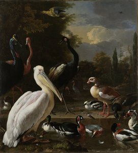 1680年頃、「浮遊する羽」として知られる、プールの近くのペリカンと他の鳥