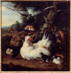 雌鶏とその雛 メルキオール・ホンデコエター（1636-1695）作 17世紀 ケアン美術館蔵 作： Melchior de Hondecoeter