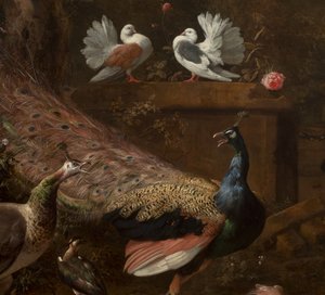 メナジェリーからの詳細、c.1680 作： Melchior de Hondecoeter