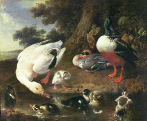 農場のカモ 作： Melchior de Hondecoeter