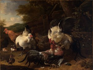  作： Melchior de Hondecoeter