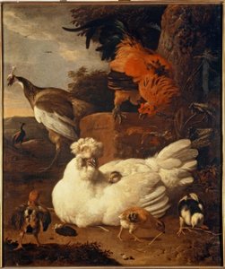 M. de Hondecoeter、雛を持つ母親編