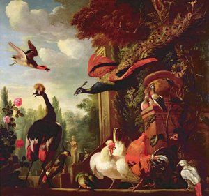 不明な画像 作： Melchior de Hondecoeter