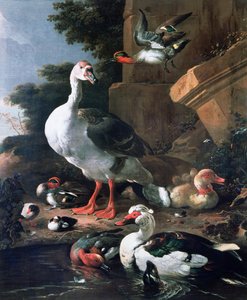 17世紀の古典的な風景の中の水鳥 作： Melchior de Hondecoeter