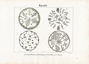 様々な塩の結晶形 作： Meno Haas