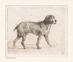 犬
