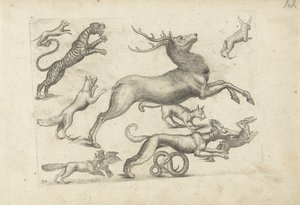 作図例付き学習シート：いろいろな動物 作： Michael Snijders (attributed to)