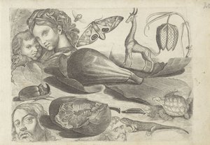 描画例を含む学習シート: 頭、動物、果物 作画例（連載タイトル） 作： Michael Snijders