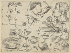 描画例を含む学習シート: 頭、体の部分、動物 作画例（連載タイトル） 作： Michael Snijders