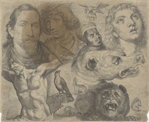 描画例を含む学習シート: 頭、胴体、動物 作画例（連載タイトル） 作： Michael Snijders