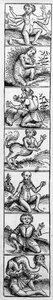 Hartmann Schedelによる「Nuremberg Chronicle」からのモンスター、1493年公開 作： Michael Wolgemut