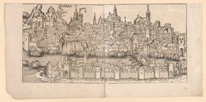 ニュルンベルク クロニクル: スイス、バーゼルの地形図 作： Michael Wolgemut