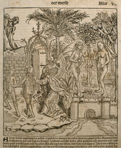 1493年にニュルンベルクで出版されたハルトマンシェデル（1440-1514）による「自由のクロニコルム」からのアダムとイブのイラスト 作： Michael and Pleydenwurff, W. Wolgemuth