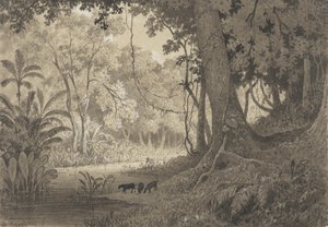 玉名近郊の森の風景 作： Michel Jean Cazabon