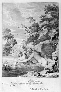 ニンフサルマシスと雌雄同体、1655年 作： Michel de Marolles