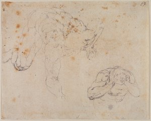 最後の審判からのコピー 作： Michelangelo (after) Buonarroti