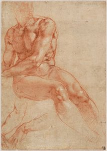 座った若い男性ヌードと2本の腕の習作（レクト） 1510-11年頃 作： Michelangelo