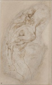 後ろから見た跪く青年 作： Michelangelo Buonarroti