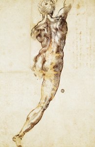 後ろから見た男性の裸体、ミケランジェロ（1475-1564）の「カシーナの戦い」のための習作、デッサン。 作： Michelangelo Buonarroti