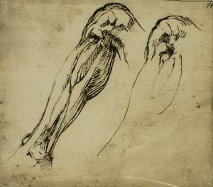 ミケランジェロが描いた脚の解剖学的研究。カーサブオナローティ（フィレンツェ） 作： Michelangelo Buonarroti