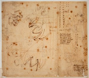 オートグラフの研究とカウント 作： Michelangelo Buonarroti