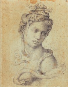 クレオパトラ 作： Michelangelo Buonarroti