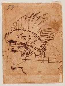クレステッドヘッド 作： Michelangelo Buonarroti