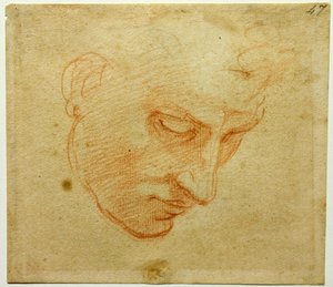 システィーナ礼拝堂の天井へのヘッドスタディ 作： Michelangelo Buonarroti