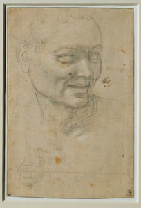 イグナの頭と右手、イザヤの左上 作： Michelangelo Buonarroti