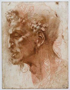サテュロスの頭。 作： Michelangelo Buonarroti