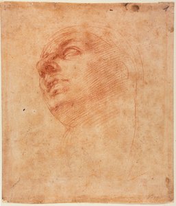 システィーナ・ヨナのためのヘッドスタディ 作： Michelangelo Buonarroti