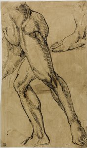 男性ヌードの脚と足 作： Michelangelo Buonarroti