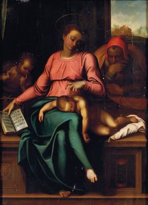 マドンナオブサイレンス 作： Michelangelo Buonarroti