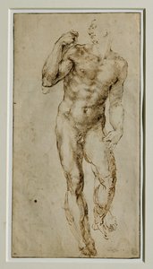 男性ヌード、正面、1502-1506年頃... 作： ミケランジェロ・ブオナローティ