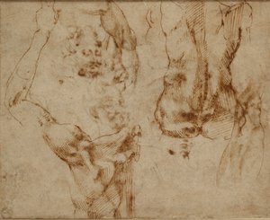 ヌード研究、c1490-1560 作： Michelangelo Buonarroti