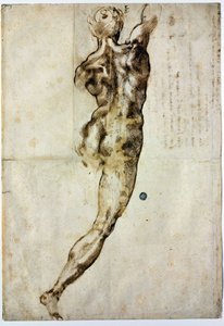 後ろからヌードc 1504 作： Michelangelo Buonarroti