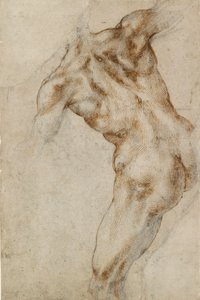 裸の男性の胴体、16 世紀初頭 作： Michelangelo Buonarroti