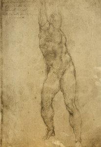 ミケランジェロが描いたヌード研究。ギャラリーデルアカデミア、ヴェネツィア 作： Michelangelo Buonarroti