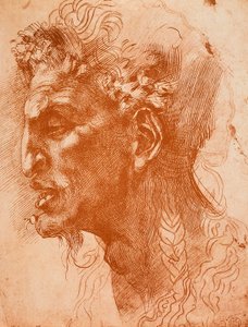 サテュロスの頭;ミケランジェロの絵。ルーブル美術館、パリ 作： Michelangelo Buonarroti