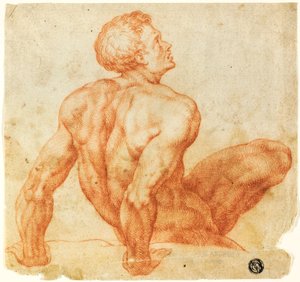 着席男性ヌード 作： Michelangelo Buonarroti