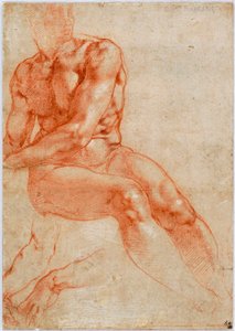 着席した若い男性のヌードと2つの腕の研究、1510〜1511年頃 作： Michelangelo Buonarroti